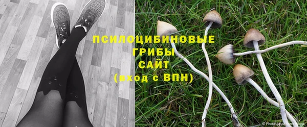 соль курить ск Арсеньев