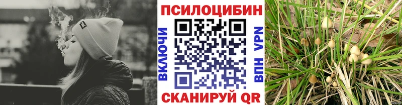 Псилоцибиновые грибы MAGIC MUSHROOMS  ссылка на мегу ONION  Калининск 